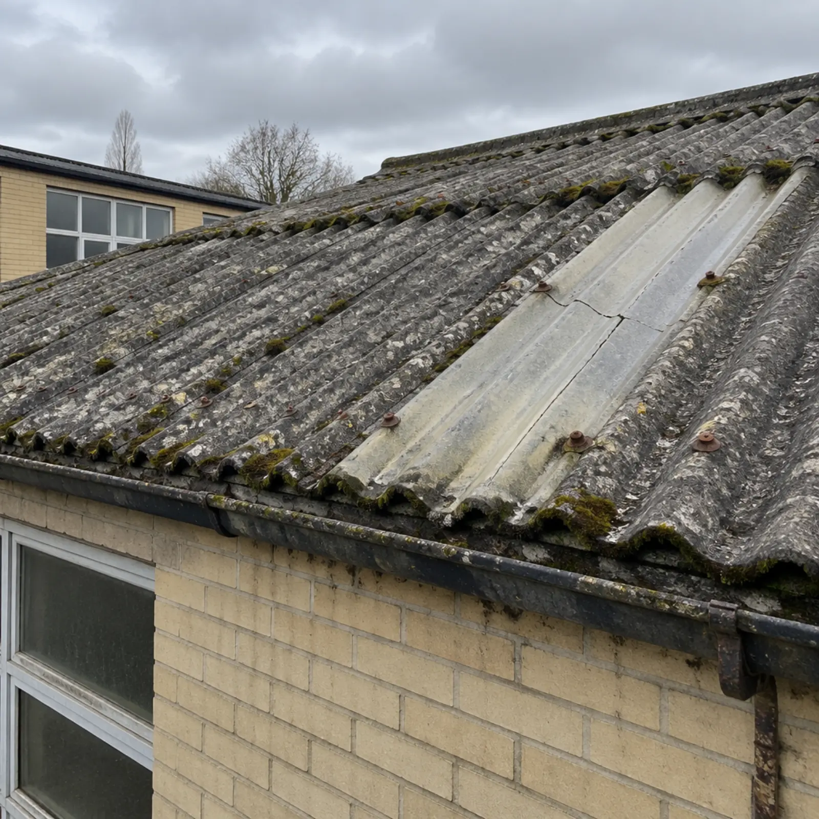 Weathered grey corrugated cement roof sheeting on an older school outbuilding, moss along the laps and a cracked rooflight, no solar panels